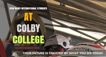 International Students at Colby College: What's the Count?