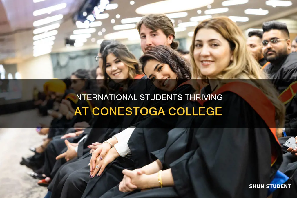 how many international students at conestoga college