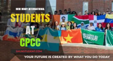 International Students Thriving at CPCC