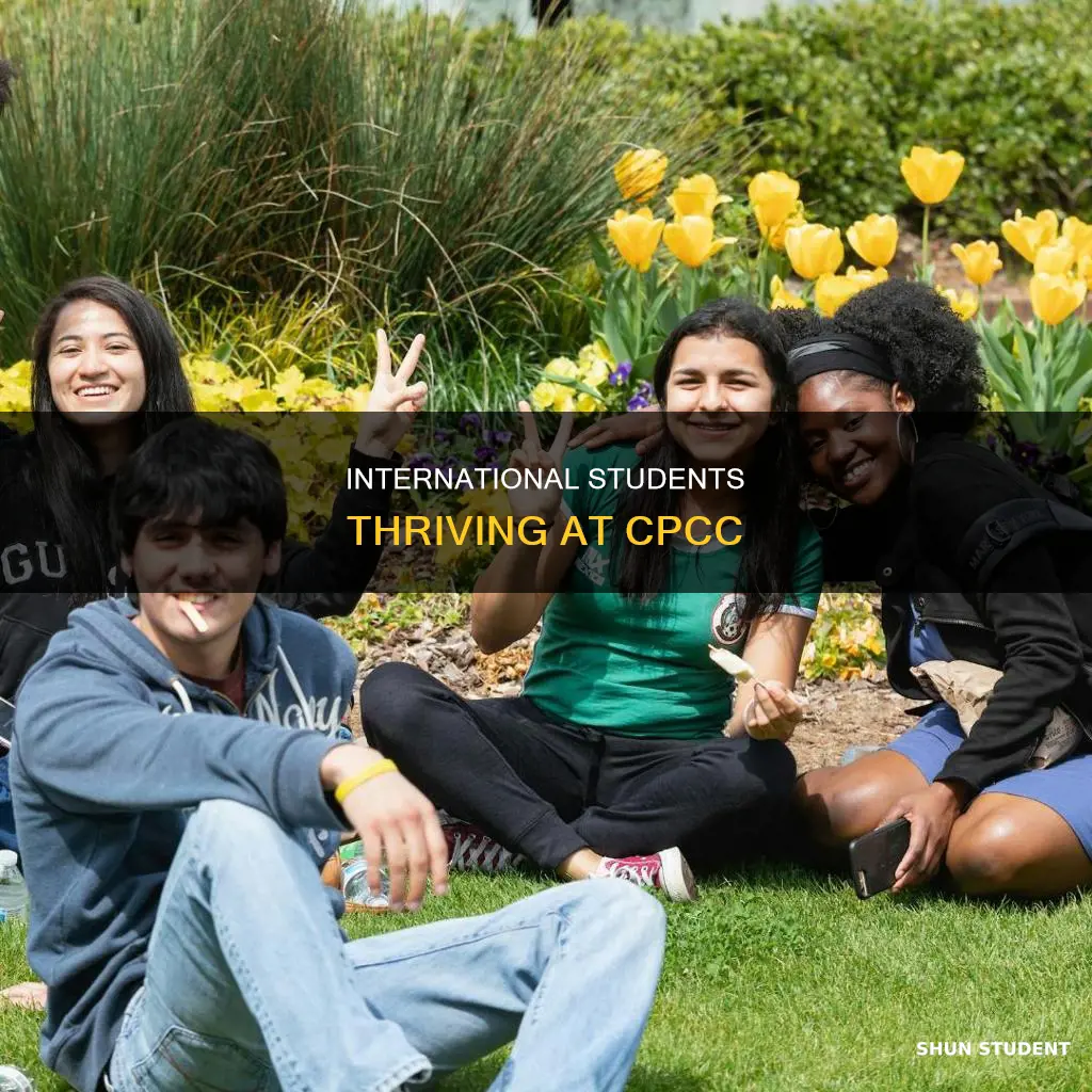 how many international students at cpcc