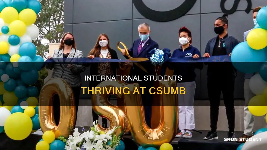 how many international students at csumb