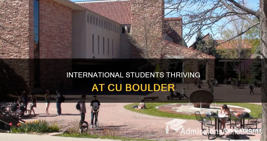 how many international students at cu boulder