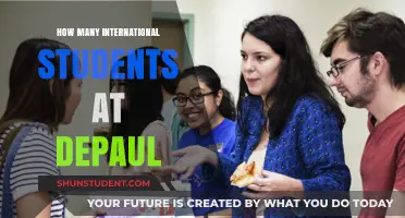 International Students Thriving at DePaul