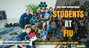 International Students Thriving at FIU