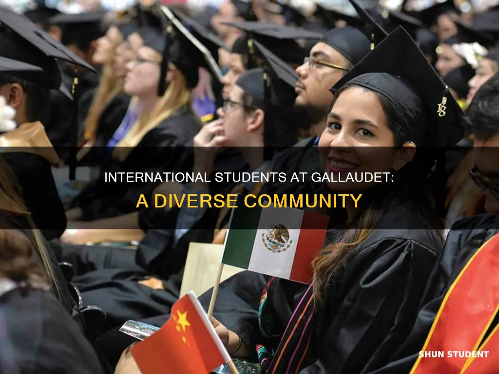 how many international students at gallaudet university