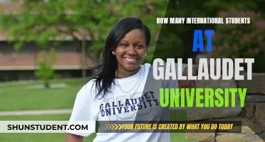 International Students Thriving at Gallaudet University