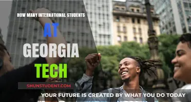 International Students Thriving at Georgia Tech