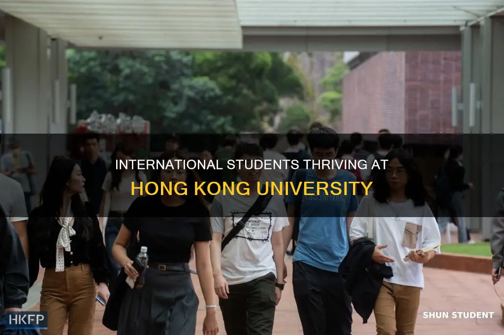 how many international students at hong kong u