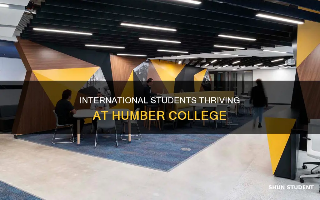 how many international students at humber college