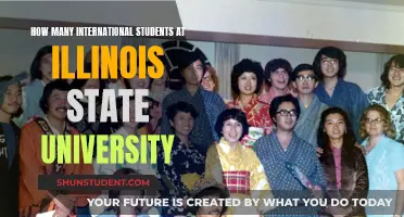 International Students Thriving at Illinois State University