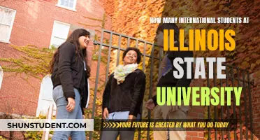 International Students Thriving at Illinois State University