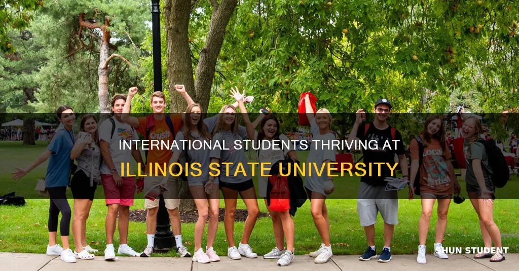 how many international students at illinois state university