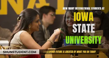 Iowa State University: International Student Population Insights