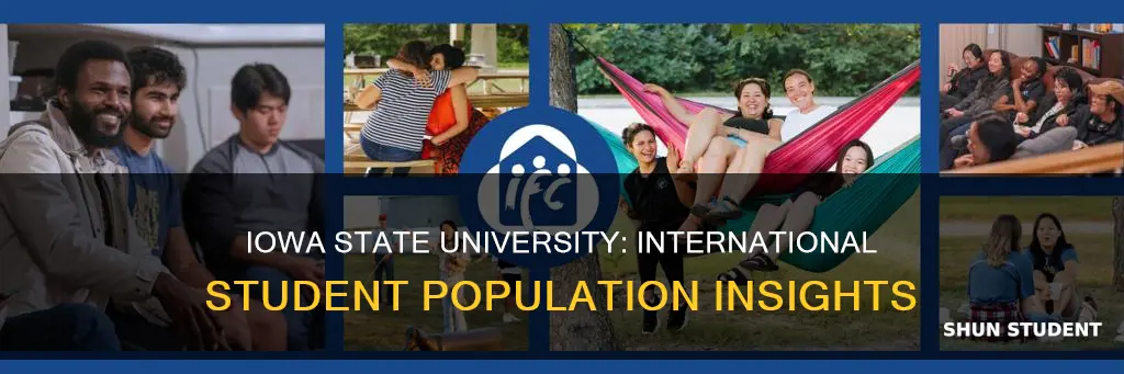 how many international students at iowa state university