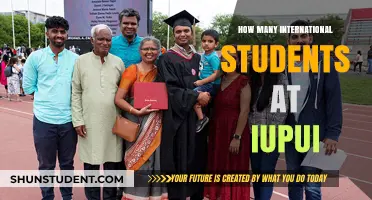 International Students Thriving at IUPUI