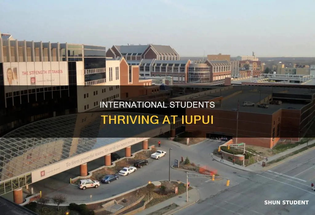 how many international students at iupui