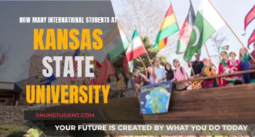 International Students Thriving at Kansas State University