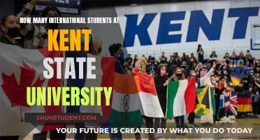 International Students Thriving at Kent State University