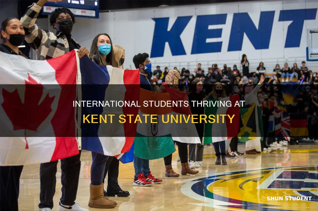 how many international students at kent state university