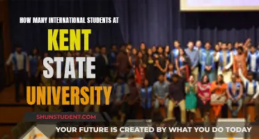 International Students Thriving at Kent State University