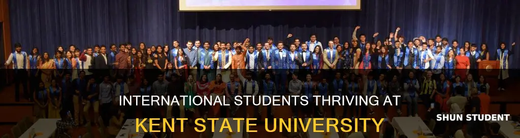 how many international students at kent state university