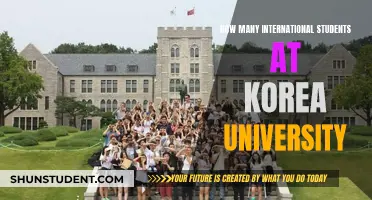 International Students at Korea University: What's the Count?