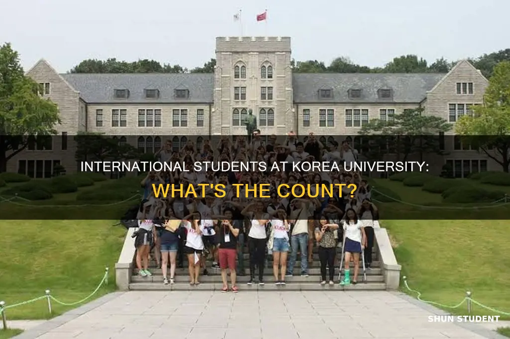 how many international students at korea university