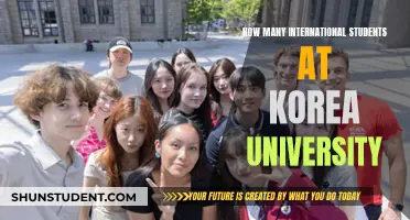 International Students Thriving at Korea University
