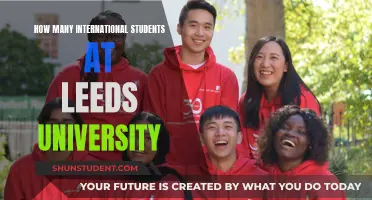 International Students Thriving at Leeds University
