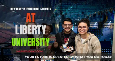 International Students Thriving at Liberty University