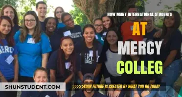 International Students Thriving at Mercy College