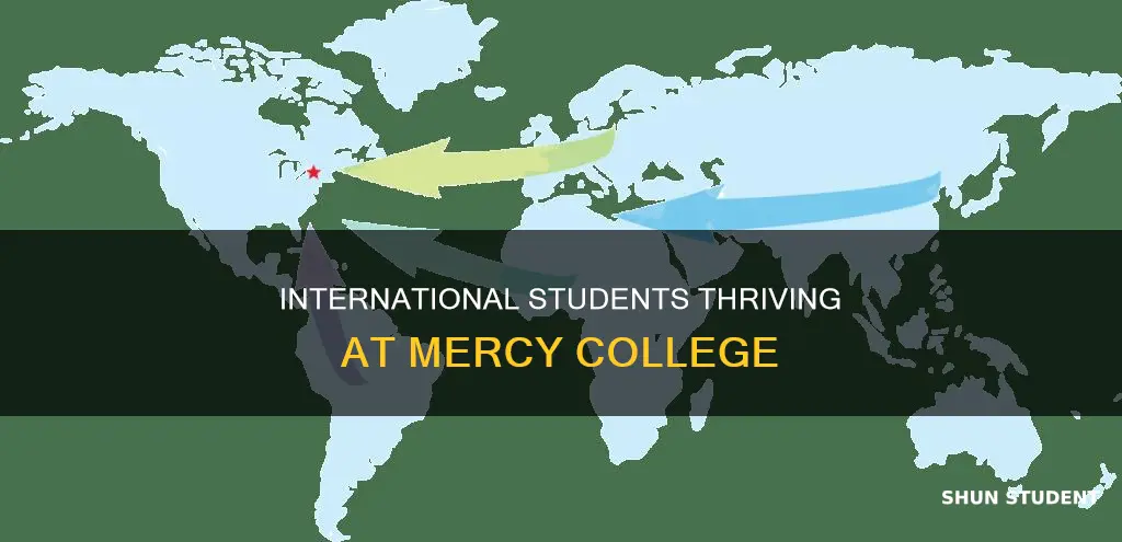 how many international students at mercy colleg