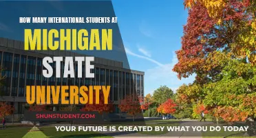 International Students Thriving at Michigan State University