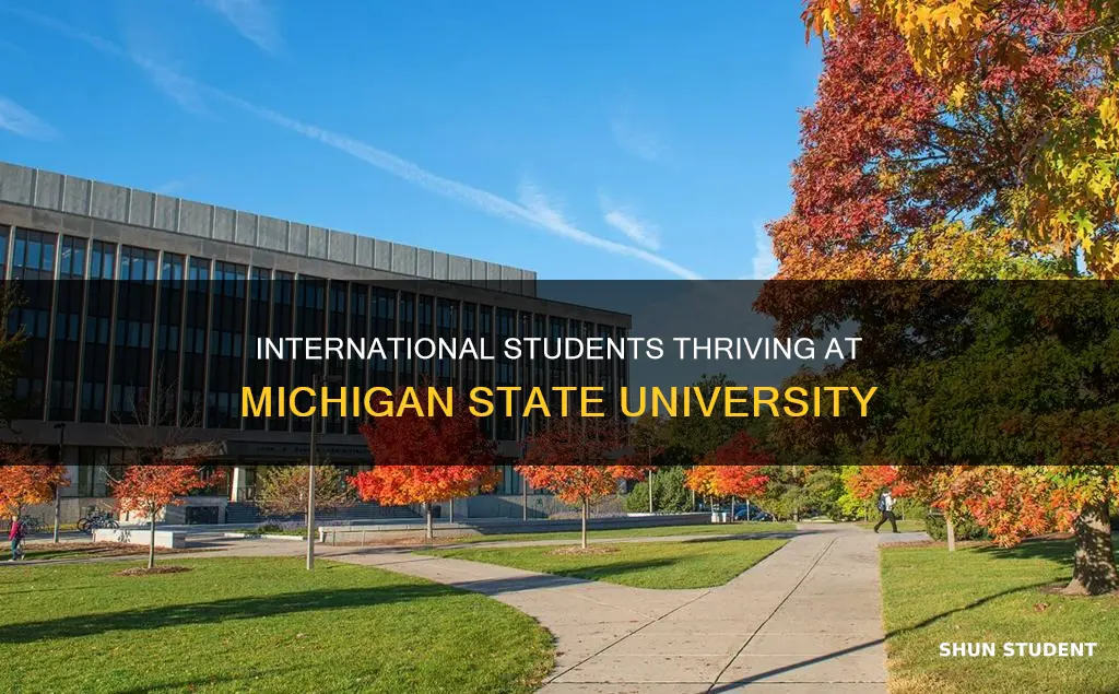 how many international students at michigan state university