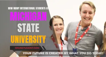 International Students Thriving at Michigan State University