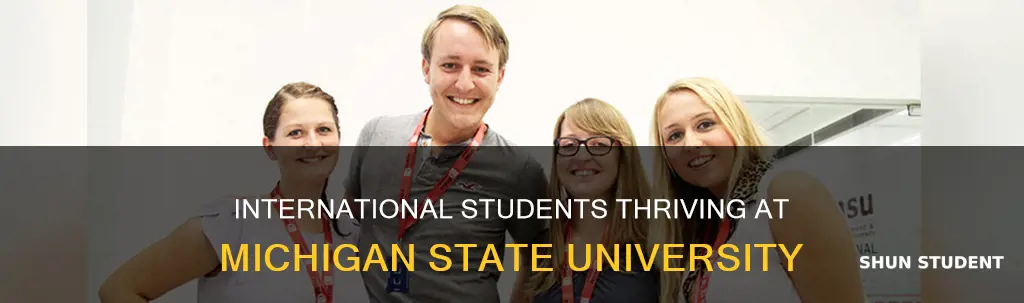 how many international students at michigan state university