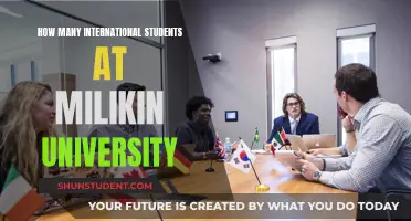 Milikin University: A Hub for International Students?