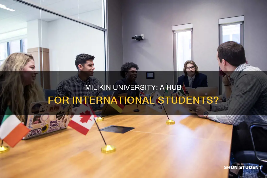 how many international students at milikin university