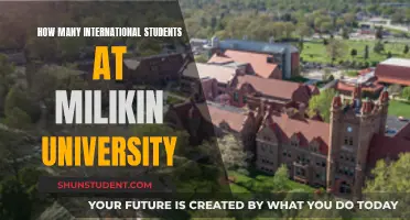International Students Thriving at Milikin University