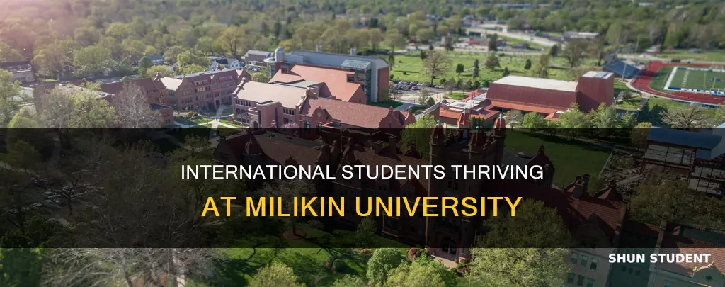 how many international students at milikin university