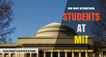 International Students Thriving at MIT