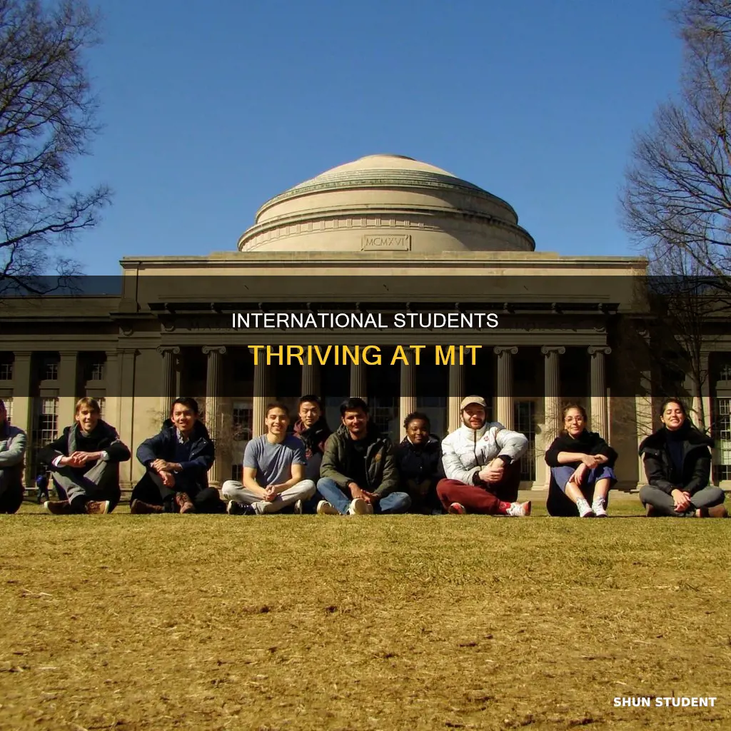 how many international students at mit