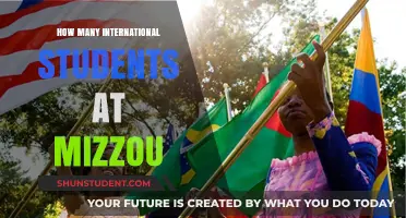 International Students Thriving at Mizzou: A Comprehensive Overview