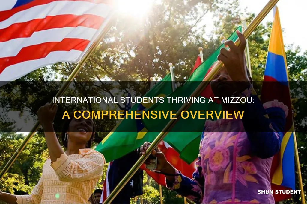 how many international students at mizzou