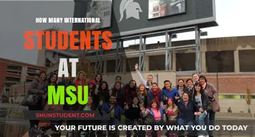 International Students Thriving at MSU