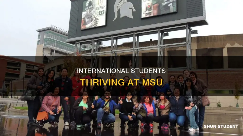 how many international students at msu