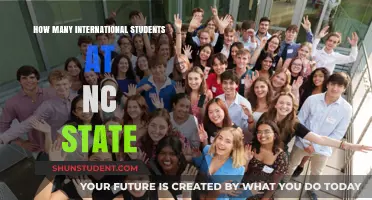 International Students Thriving at NC State
