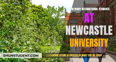 Newcastle University: International Students' Attraction