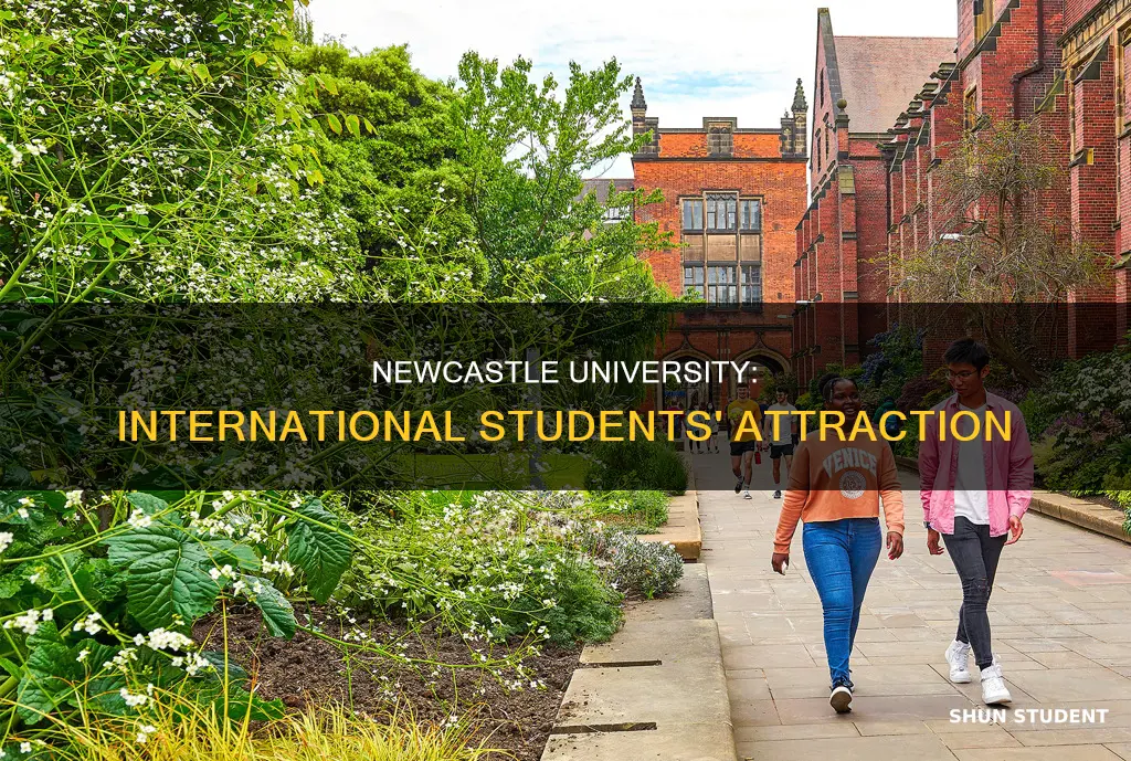 how many international students at newcastle university