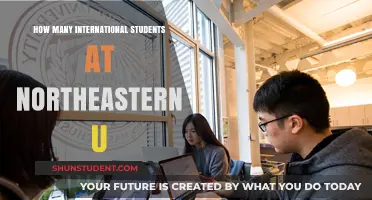 International Students Thriving at Northeastern University